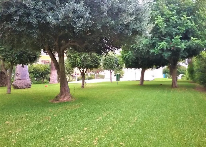 Apartment Playa Beachfront